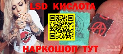 гидропоника Ливны